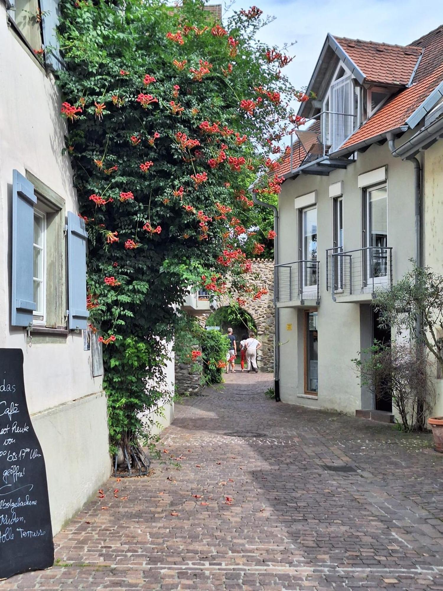 Ferienwohnung Ueberblick Radolfzell am Bodensee Eksteriør bilde